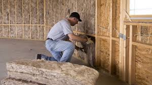 Eco-Friendly or Green Insulation Solutions in Lakeland, MN